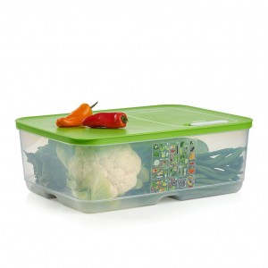 Tupperware Fridgesmart Extra Large Lettuce Leaf | 609KEURMZ