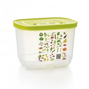 Tupperware Fridgesmart Small Deep | 689GASJOH