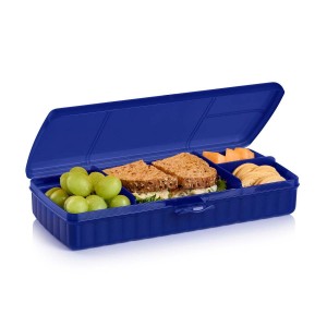 Tupperware Lunch 'N Things Container Blue | 071BPGXQR