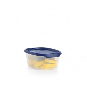 Tupperware One Touch Fresh Oval 2 1/4-cup/540 Ml Nocturnal Sea | 098UVKNWI