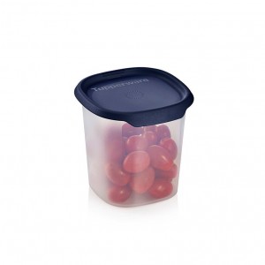 Tupperware One Touch Fresh Small Square 3 1/4-cup/ 810 Ml Nocturnal Sea | 912CJKPDO