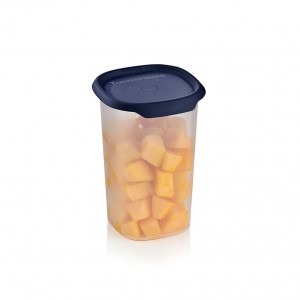 Tupperware One Touch Fresh Small Square 5 1/4-cup/1.25 L Nocturnal Sea | 423VIYBOP