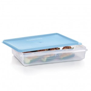 Tupperware Snack-stor Large Container Ice Cube | 648BTKWOJ