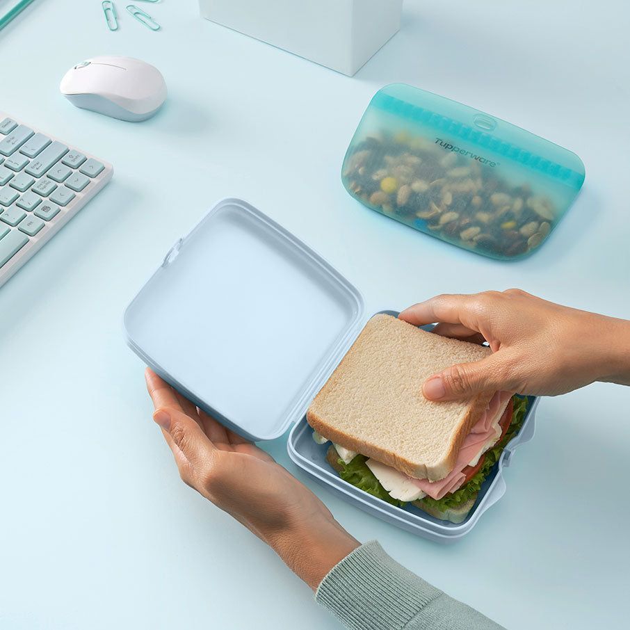 Tupperware Eco+ Sandwich Keepers White / Blue | 590ASTXPH