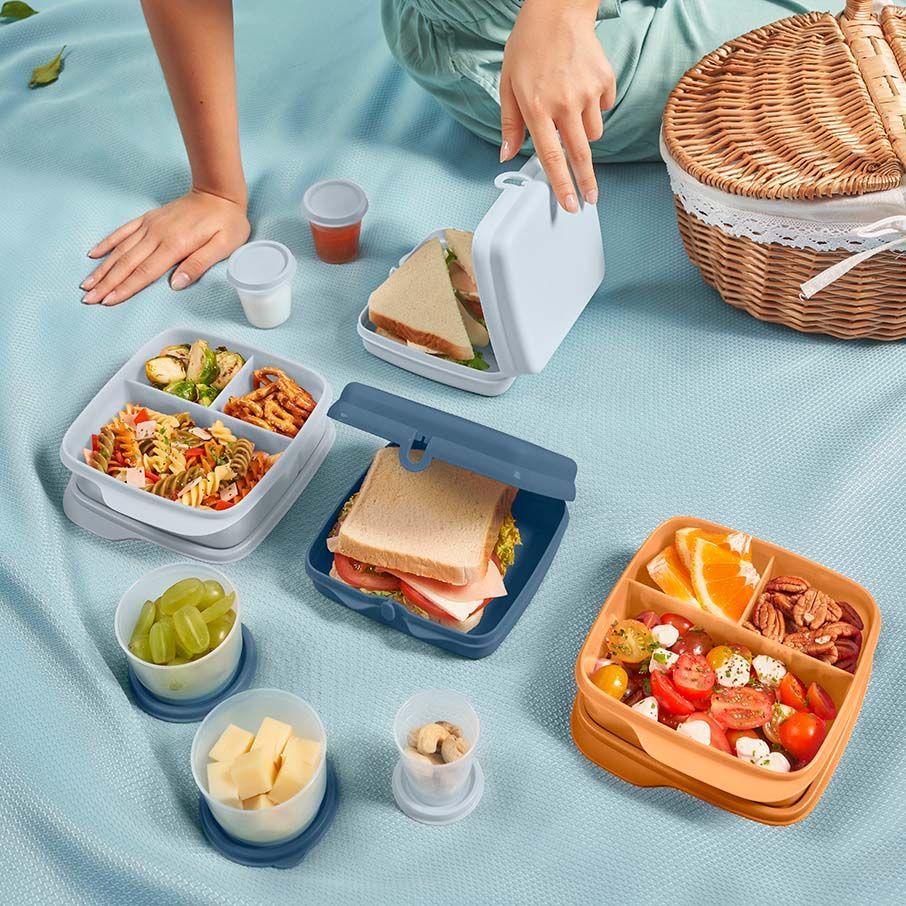 Tupperware Eco+ Sandwich Keepers White / Blue | 590ASTXPH