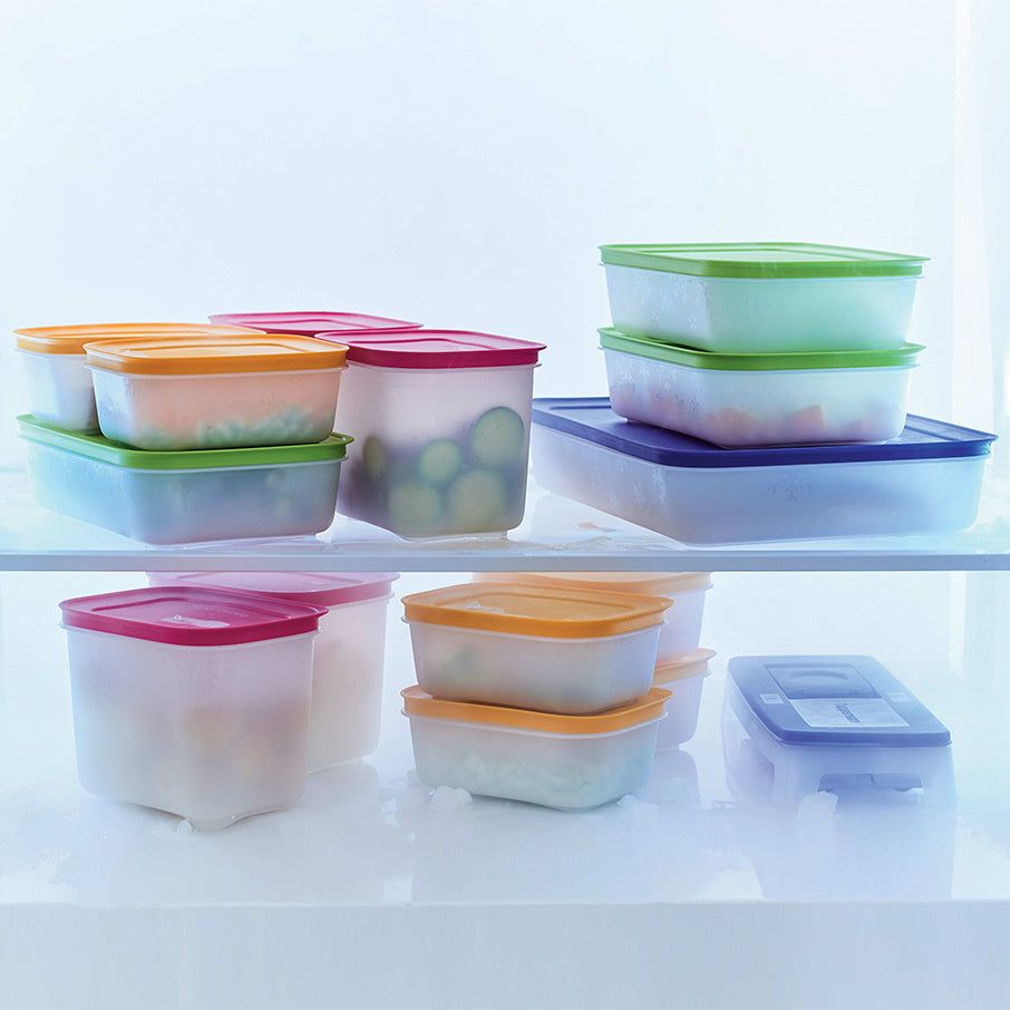 Tupperware Freezer Mates Plus Large Shallow | 509IUTZEN