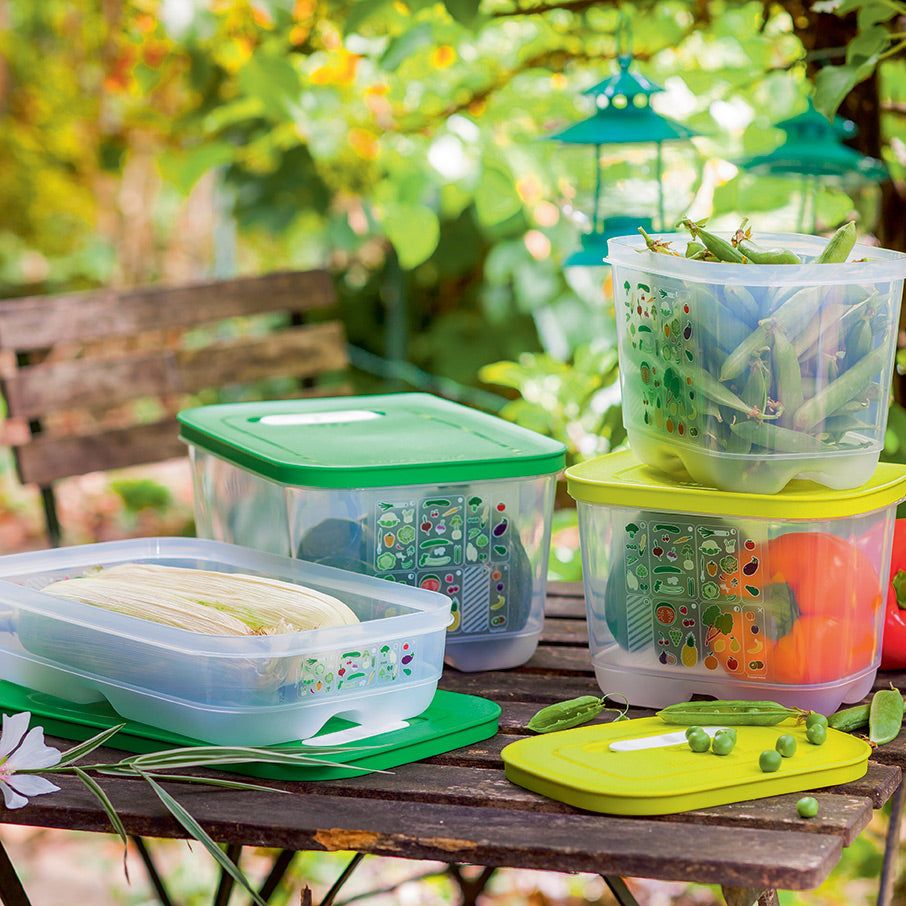 Tupperware Fridgesmart 4-pc. Starter Set Green / Deep | 205PXFVGH