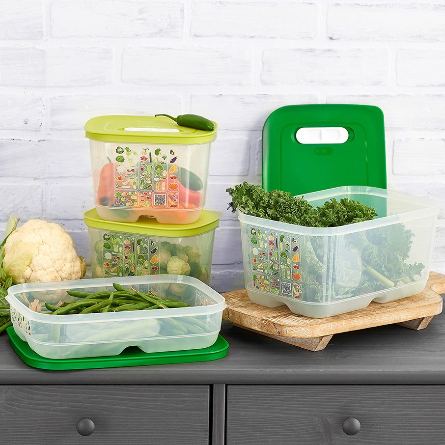 Tupperware Fridgesmart 4-pc. Starter Set Green / Deep | 205PXFVGH