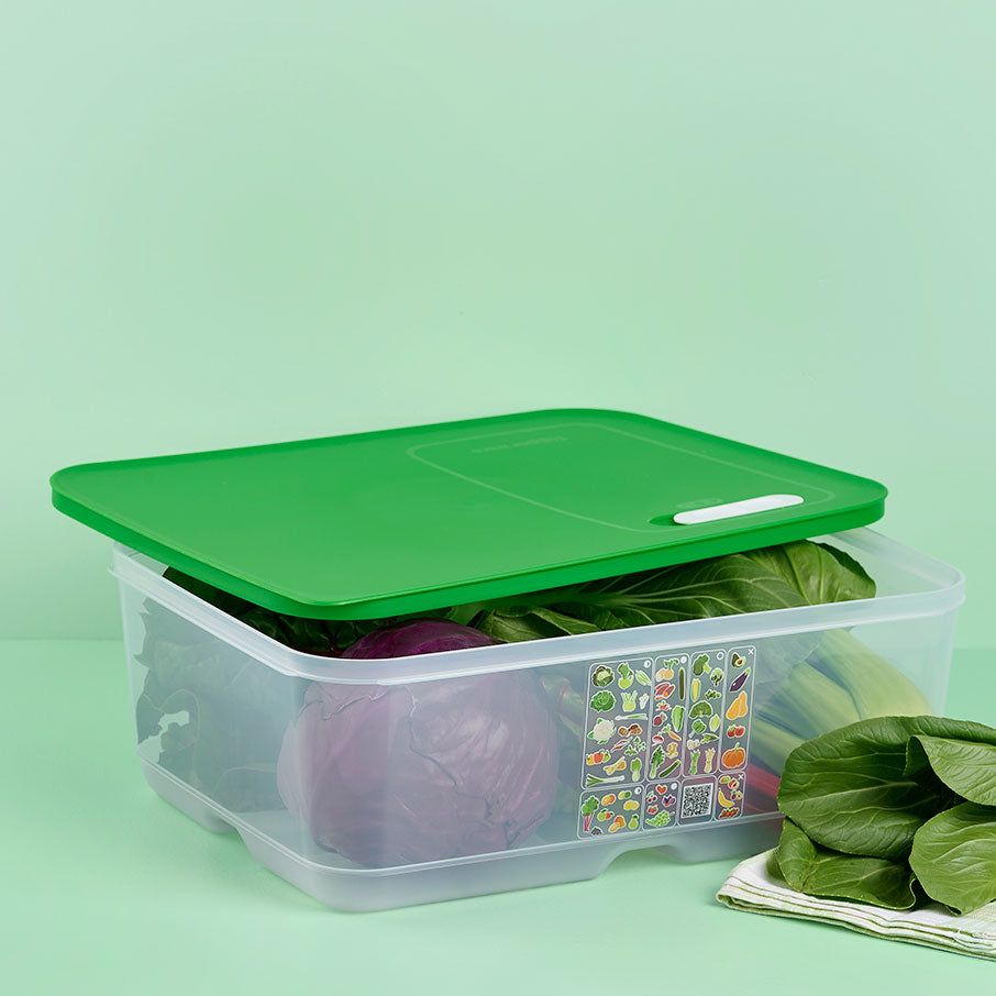 Tupperware Fridgesmart Extra Large Lettuce Leaf | 609KEURMZ