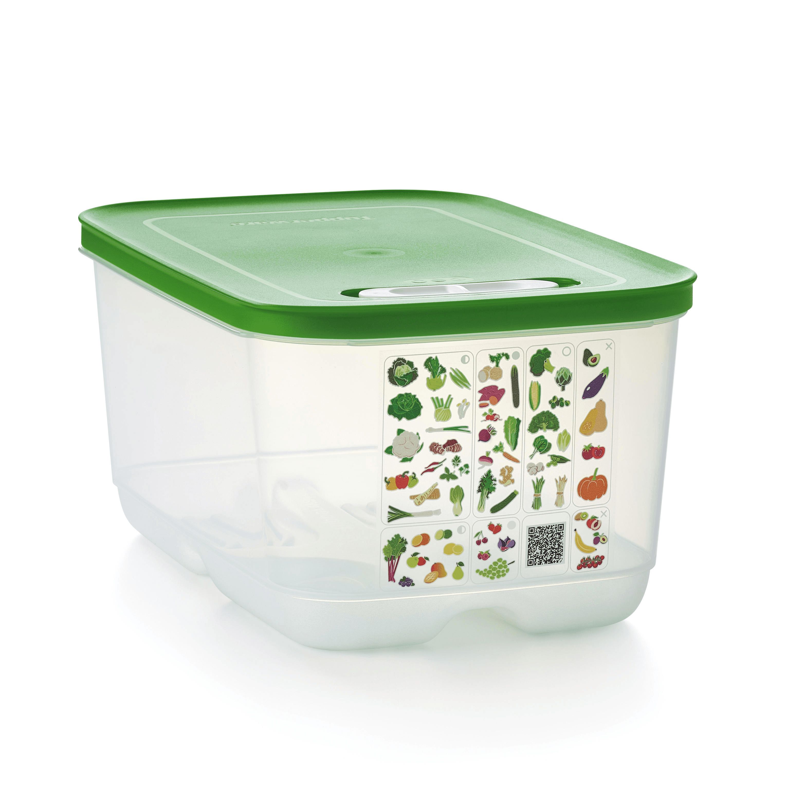 Tupperware Fridgesmart Medium Deep Green | 879GELMPO