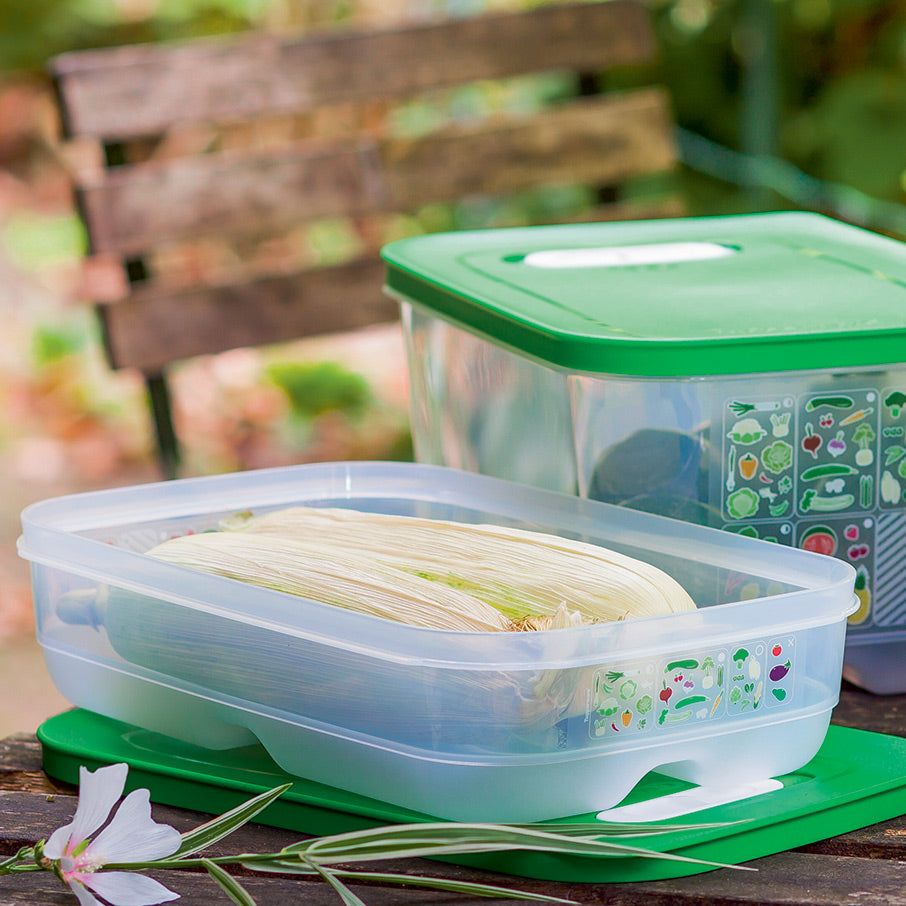 Tupperware Fridgesmart Medium Green | 180CRUPJA