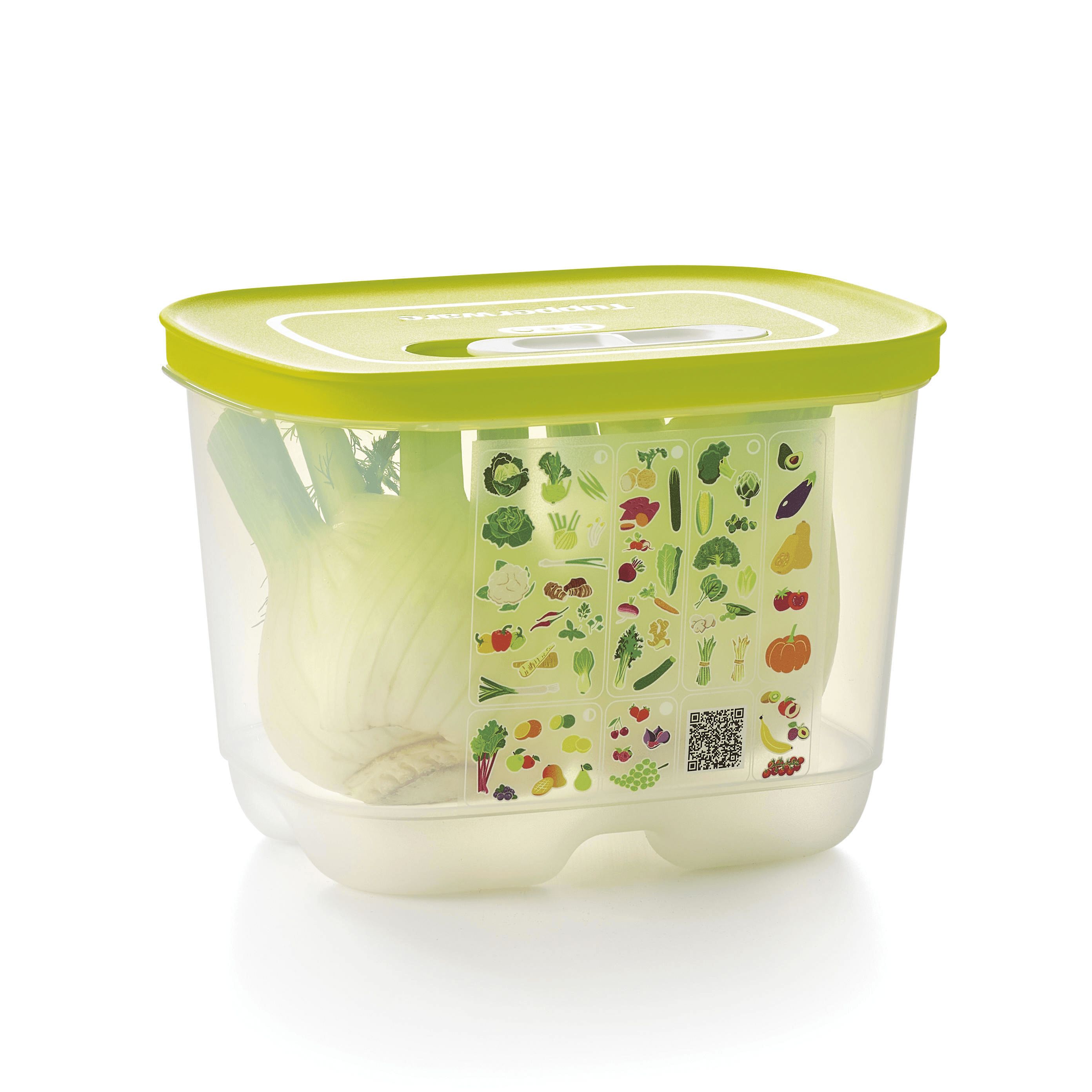 Tupperware Fridgesmart Small Deep | 689GASJOH