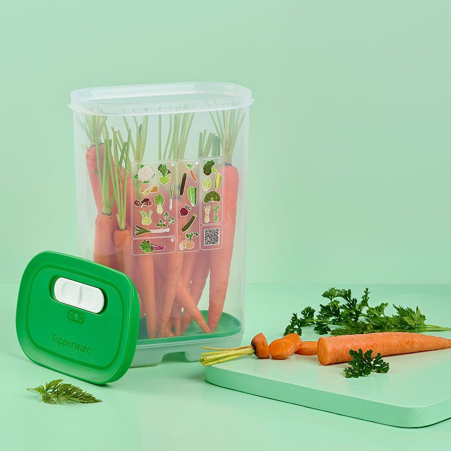 Tupperware Fridgesmart Vertical Green | 581MTVYQH