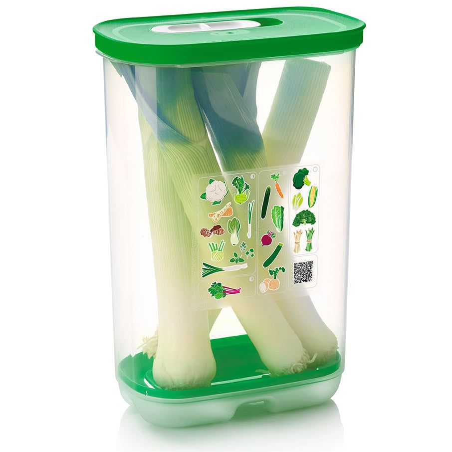 Tupperware Fridgesmart Vertical Green | 581MTVYQH