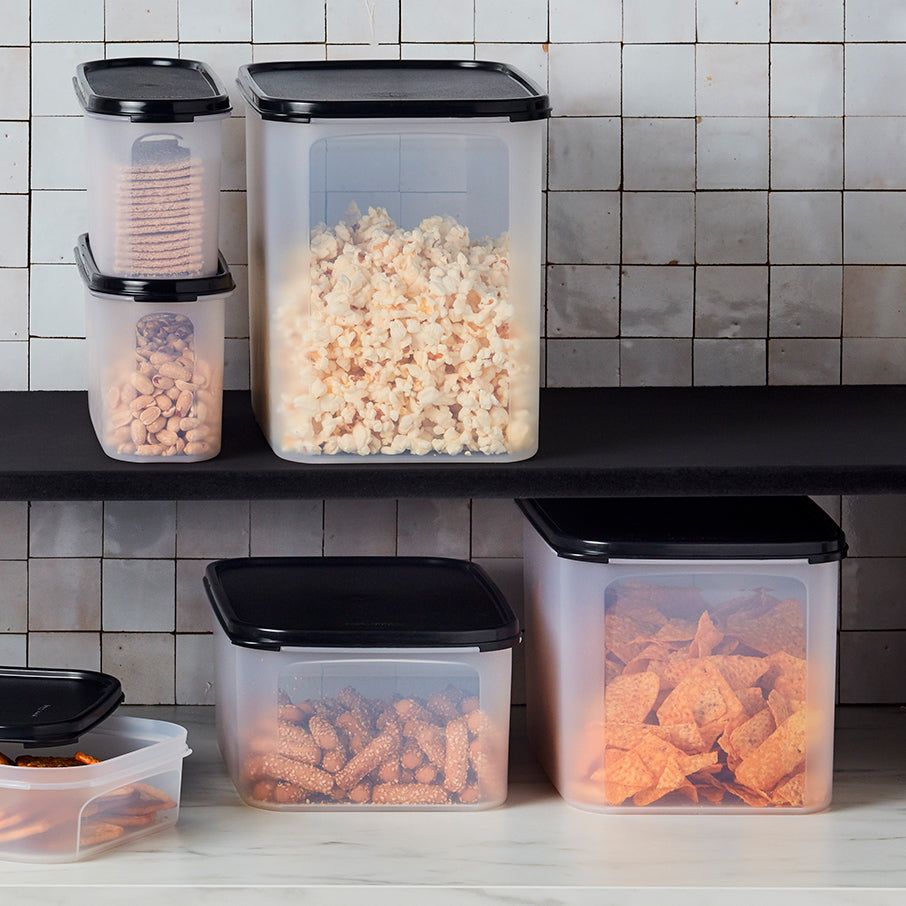 Tupperware Modular Mates Rectangular 2 | 645RSUZYH