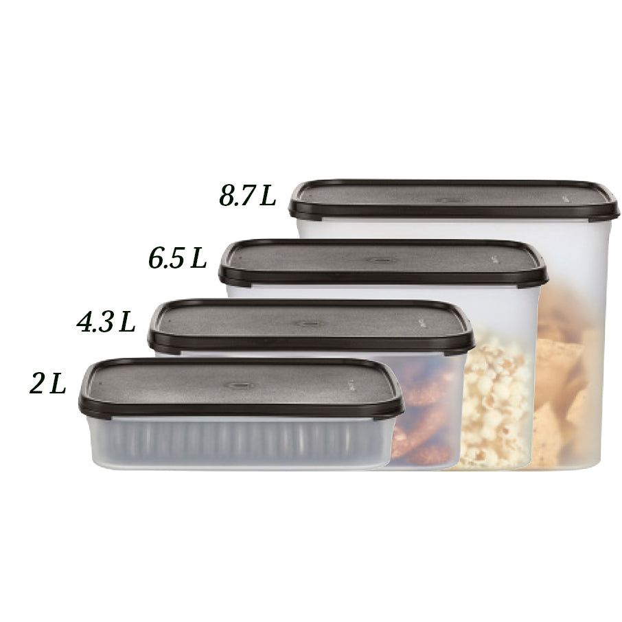 Tupperware Modular Mates Rectangular 2 | 645RSUZYH