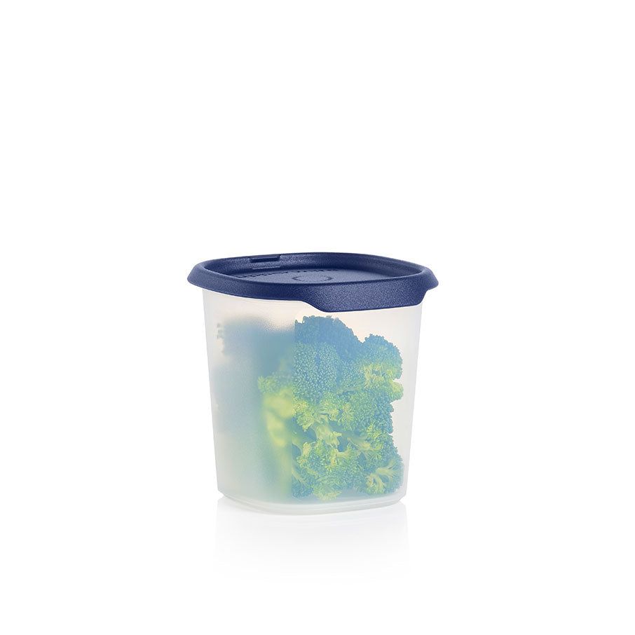 Tupperware One Touch Fresh Small Square 3 1/4-cup/ 810 Ml Nocturnal Sea | 912CJKPDO