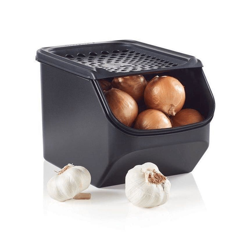 Tupperware Onion & Garlic Smart? Container Black | 604VDBLMF