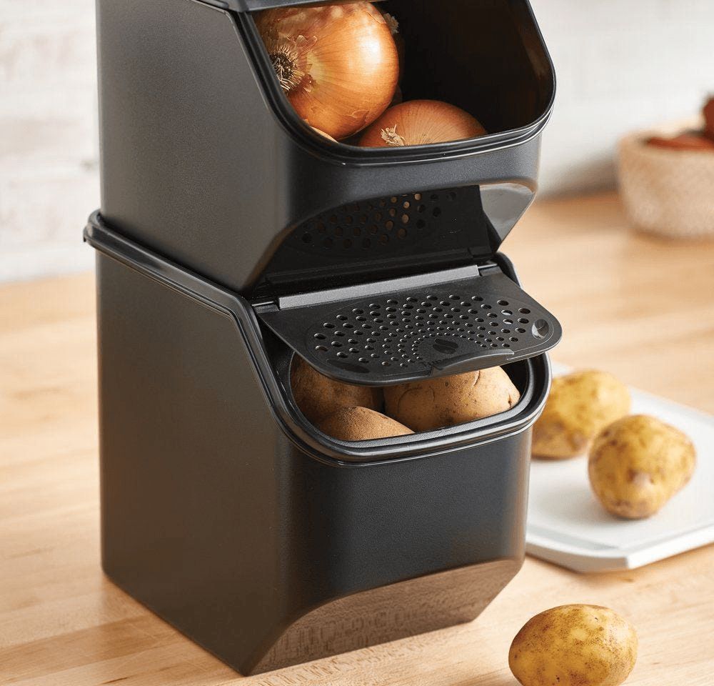 Tupperware Potato Smart Container Black | 835PKIGEL