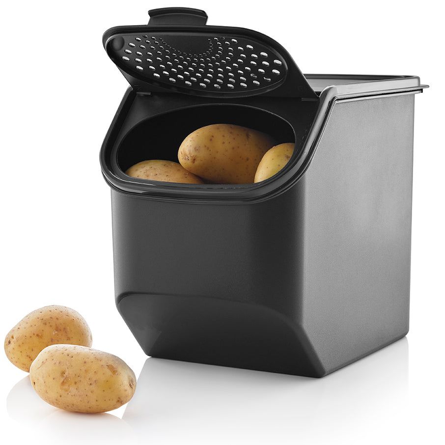 Tupperware Potato Smart Container Black | 835PKIGEL