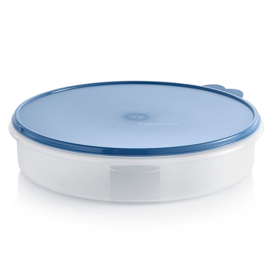 Tupperware Round Container Dragonfly | 732MELINF