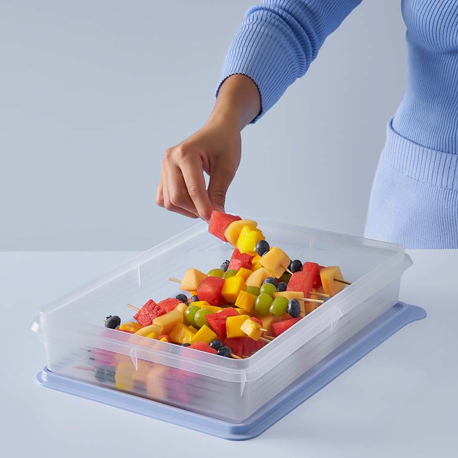 Tupperware Snack-stor Large Container Ice Cube | 648BTKWOJ