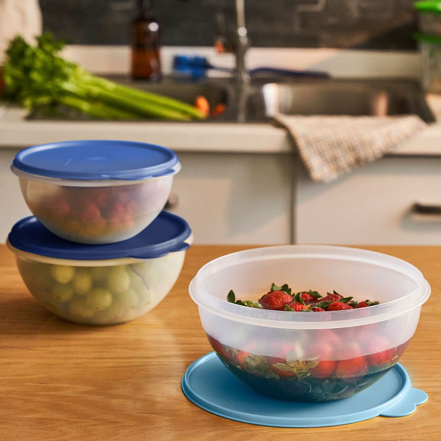 Tupperware Wonderlier Bowl 3-pc. Set sIce Cube | 417EOXPCT